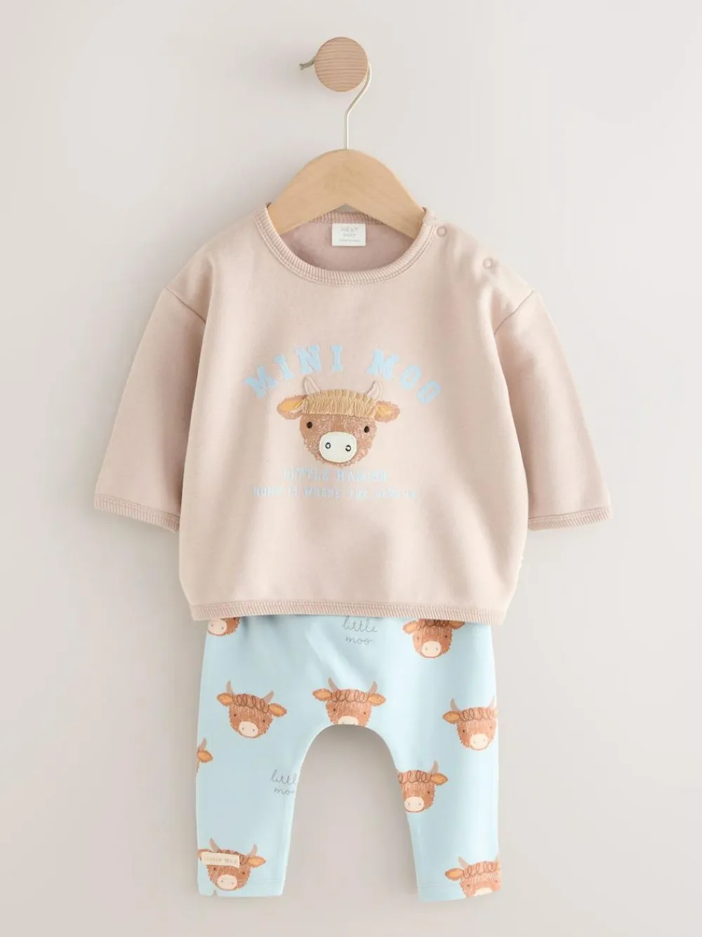 Next Baby Sweatshirt and Leggings Set (0mths-3yrs) Blue Hamish
