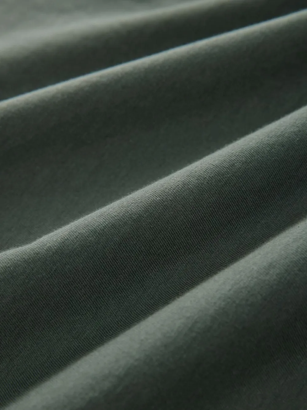 Next Blue/Green/Neutral/Brown Regular Fit T-Shirts 4 Pack