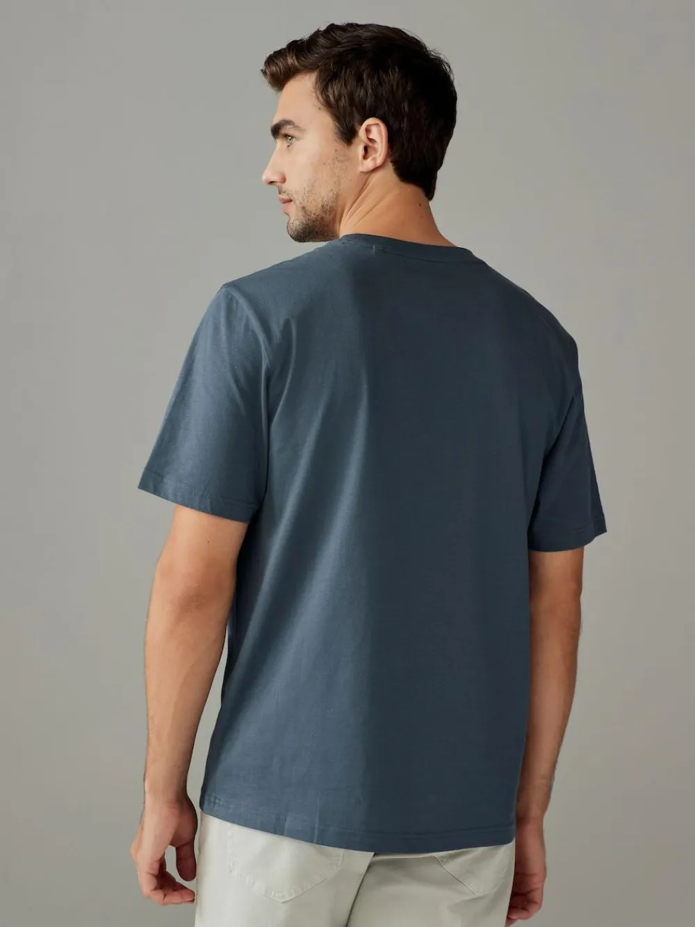 Next Blue/Green/Neutral/Brown Regular Fit T-Shirts 4 Pack
