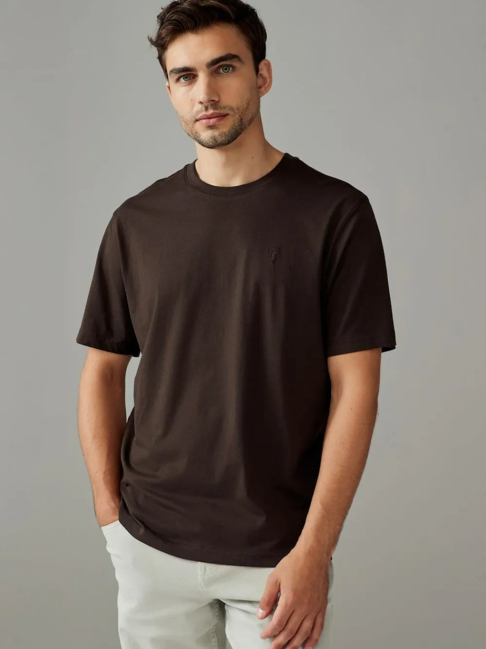 Next Blue/Green/Neutral/Brown Regular Fit T-Shirts 4 Pack