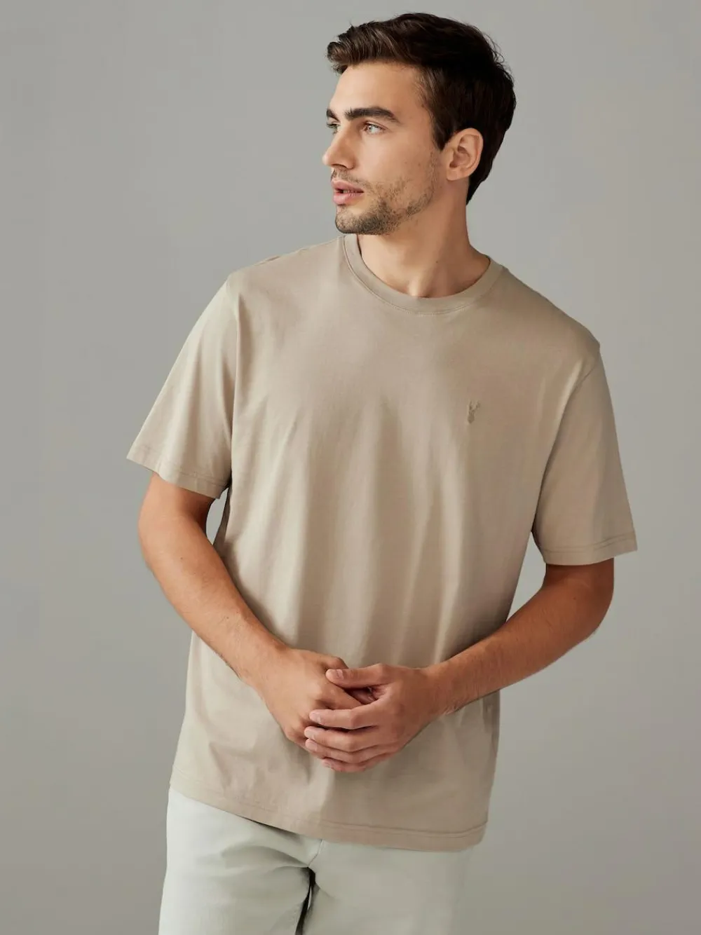 Next Blue/Green/Neutral/Brown Regular Fit T-Shirts 4 Pack
