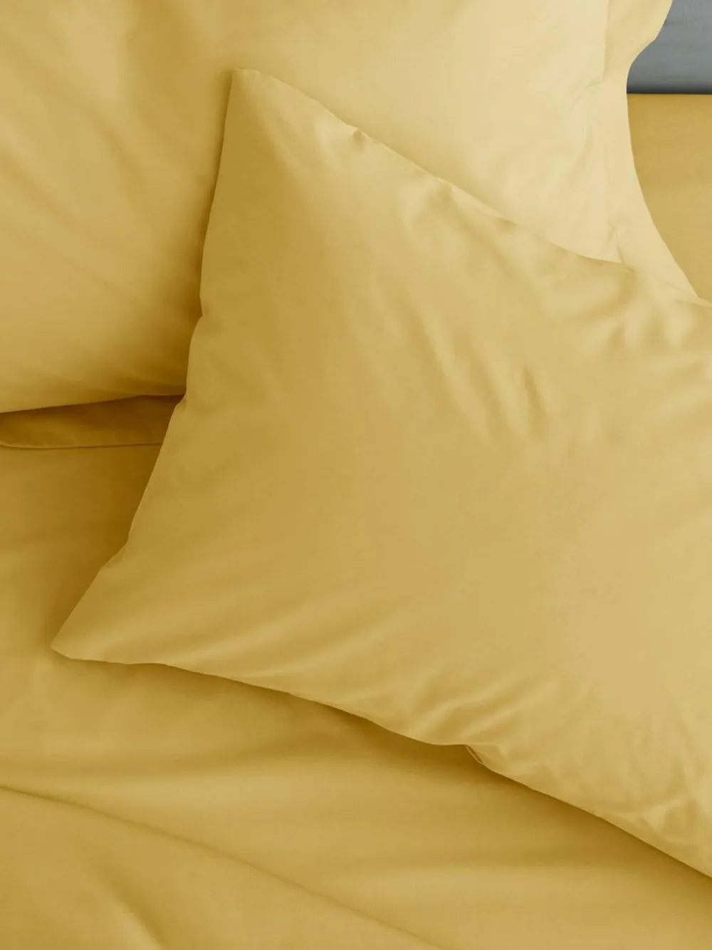 Clearance Catherine Lansfield Set of 2 Ochre Easy Iron Percale Pillowcases