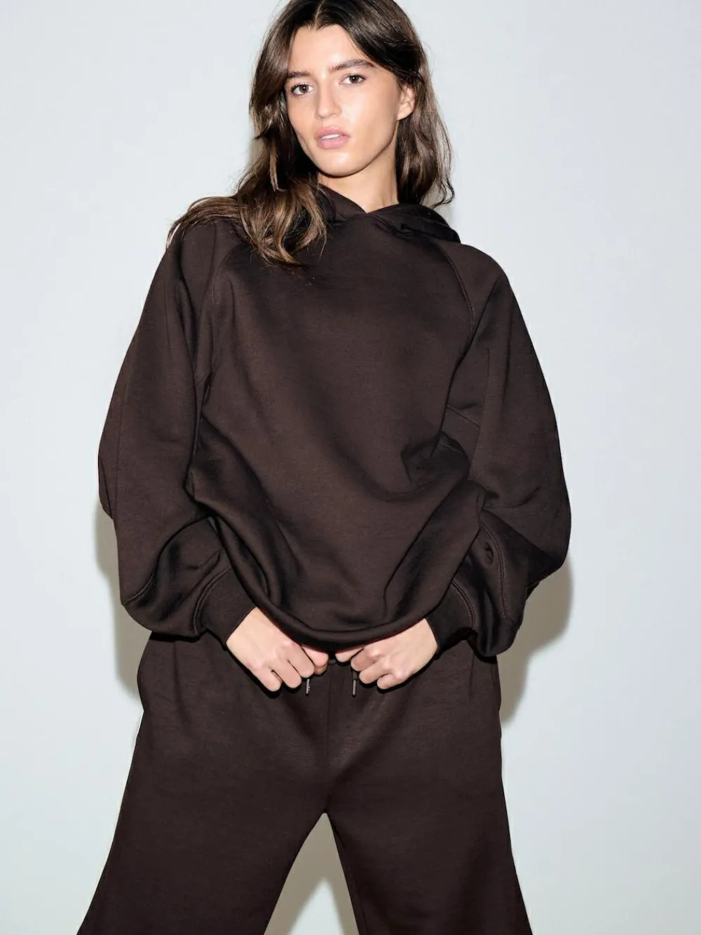 Online Next Relaxed Fit Heavyweight Regular Length Hoodie Chocolate Brown