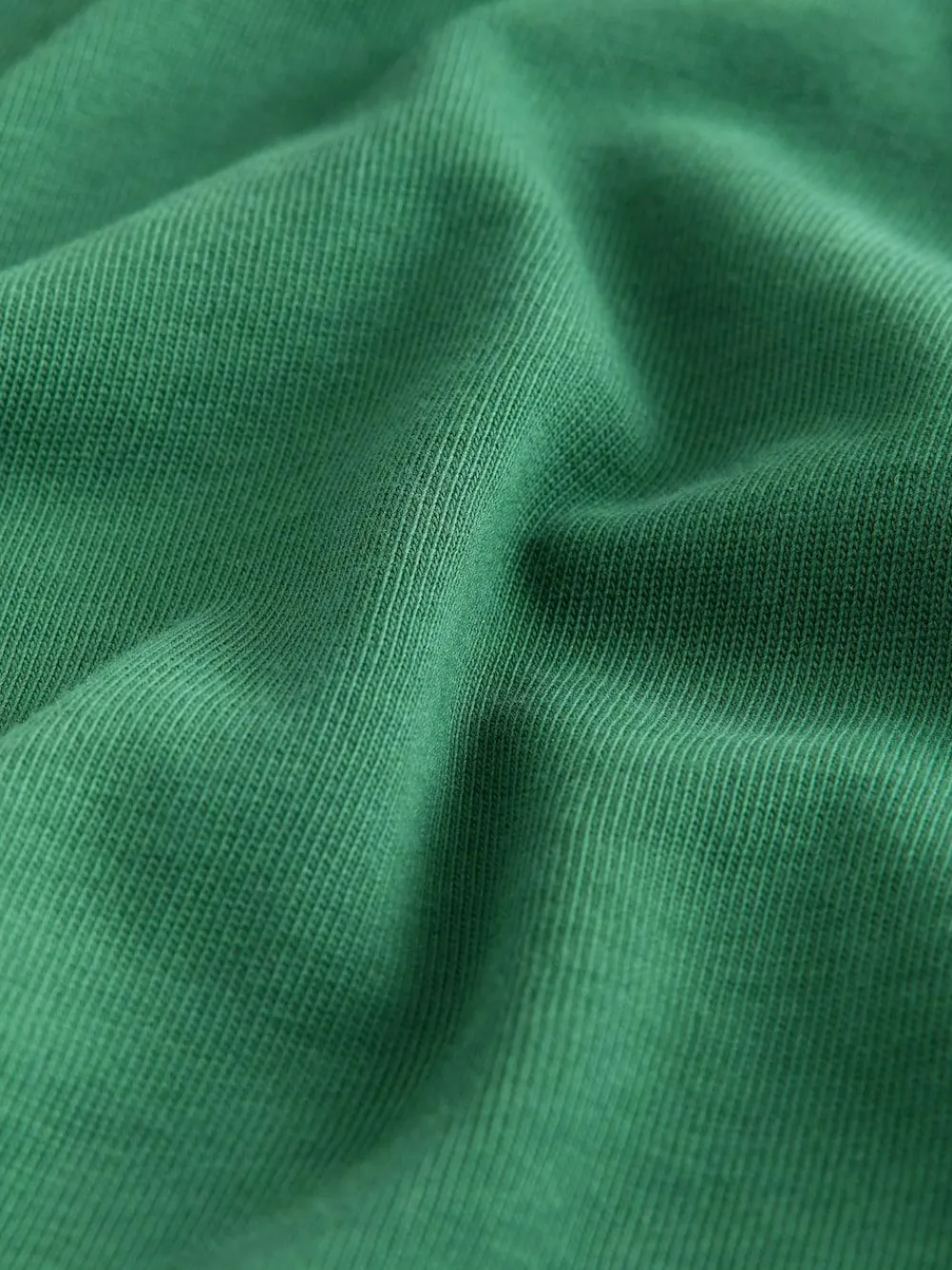 Next Green Forest Relaxed Fit Heavyweight T-Shirt^ Tops & T-Shirts