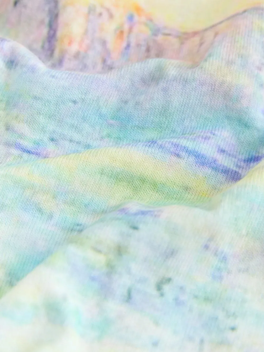 Next Monet Graphic License Long Sleeve Washed Effect Raw Seam T-Shirt