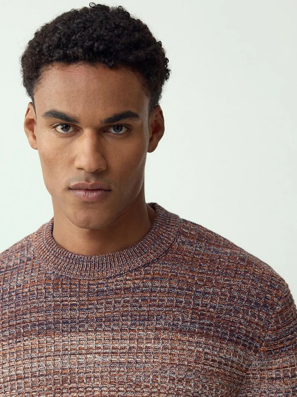 Outlet Next Multi Regular Fit 100% Cotton Ombre Twist Knit Crew Jumper