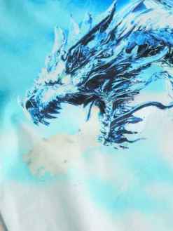 Clearance Next White/Blue Dragon Regular Fit Short Sleeve All-Over Print T-Shirt (3-16yrs)