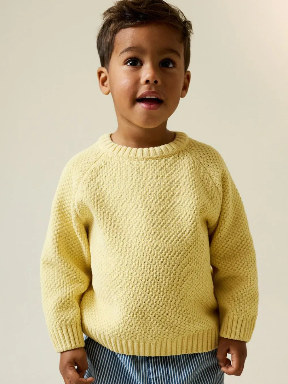 Next Chenille Knitted Crew Neck Jumper (3mths-7yrs)^BOY Knitwear|Knitwear
